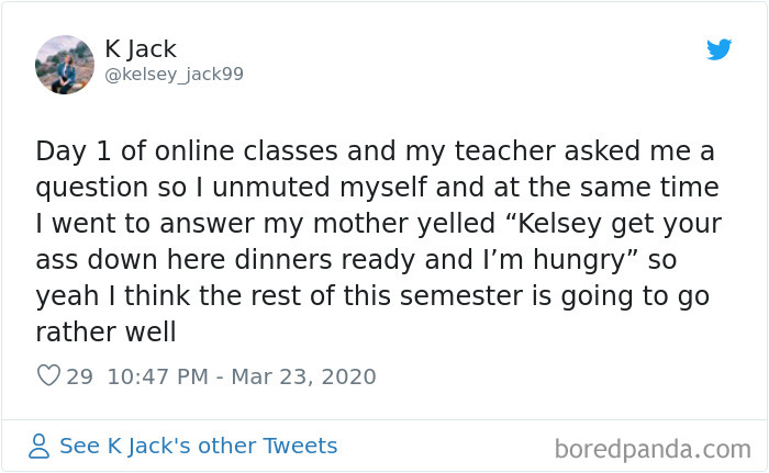 35 Quarantine Conference Calls Gone Hilariously Wrong