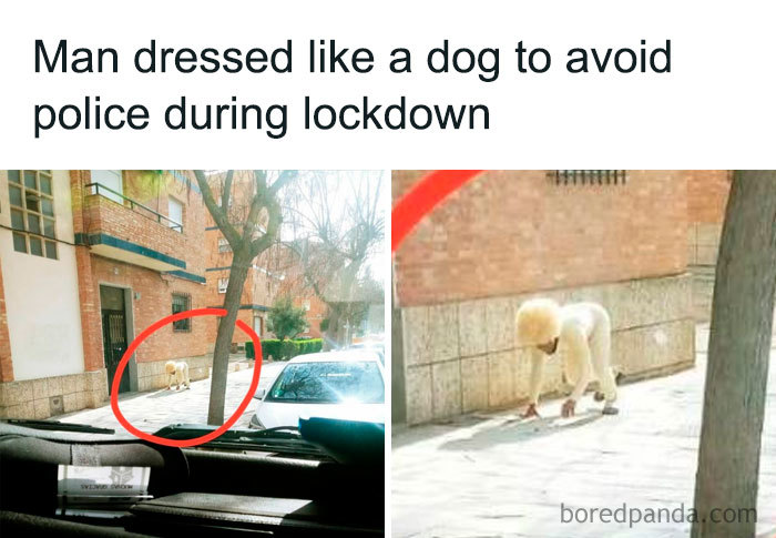 Coronavirus Jokes Are Everywhere And Here Are 30 Of The Best Ones This Week Coronavirus Jokes Are Everywhere And Here Are 30 Of The Best Ones This Week