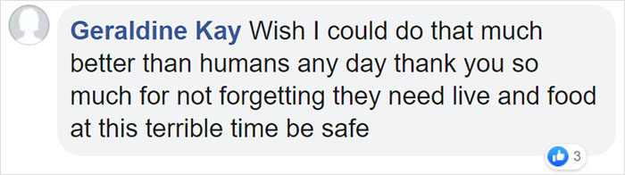 Zookeepers Self-Isolate In A UK Wildlife Park For 3 Months To Take Care Of Animals Zookeepers Self-Isolate In A UK Wildlife Park For 3 Months To Take Care Of Animals