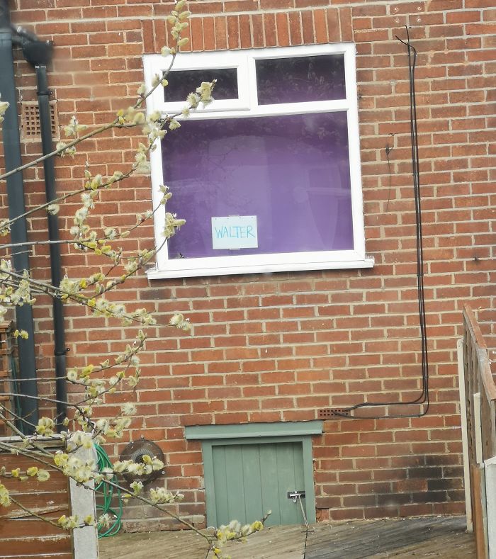 People Under Lockdown Are Using Window Signs To Talk To Their Neighbors About Their Cats, And It&#8217;s Too Pure