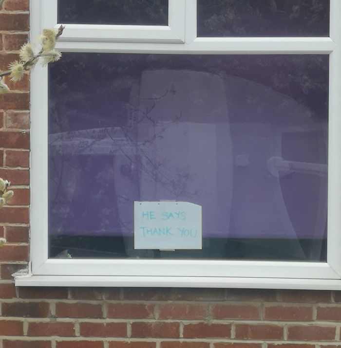 People Under Lockdown Are Using Window Signs To Talk To Their Neighbors About Their Cats, And It&#8217;s Too Pure