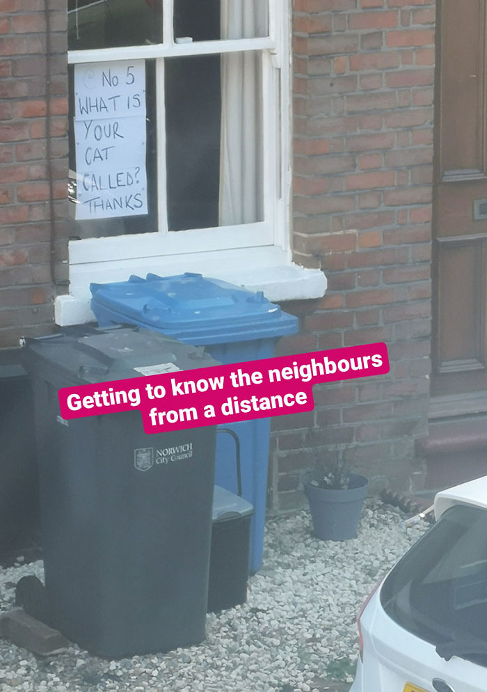People Under Lockdown Are Using Window Signs To Talk To Their Neighbors About Their Cats, And It’s Too Pure People Under Lockdown Are Using Window Signs To Talk To Their Neighbors About Their Cats, And It’s Too Pure