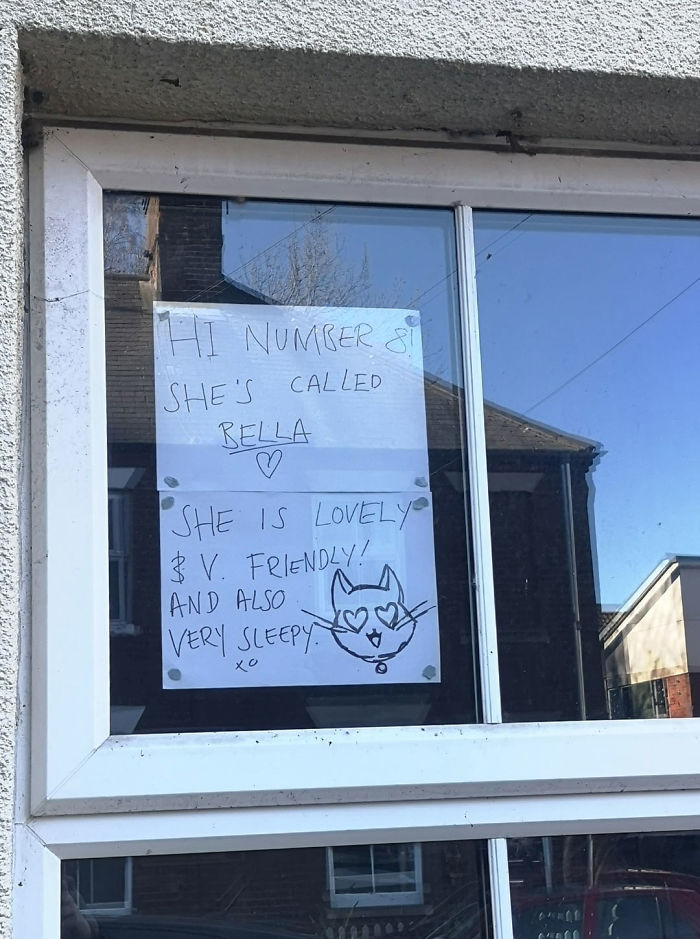 People Under Lockdown Are Using Window Signs To Talk To Their Neighbors About Their Cats, And It’s Too Pure People Under Lockdown Are Using Window Signs To Talk To Their Neighbors About Their Cats, And It’s Too Pure