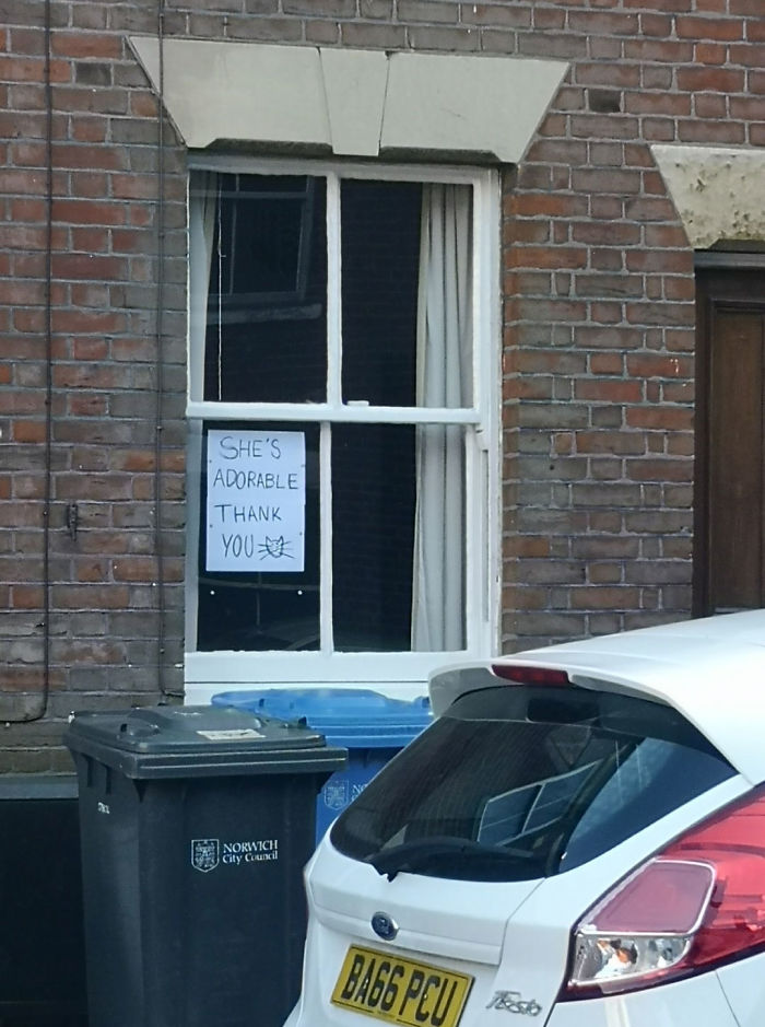People Under Lockdown Are Using Window Signs To Talk To Their Neighbors About Their Cats, And It&#8217;s Too Pure