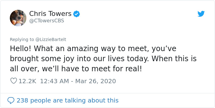 People Under Lockdown Are Using Window Signs To Talk To Their Neighbors About Their Cats, And It&#8217;s Too Pure