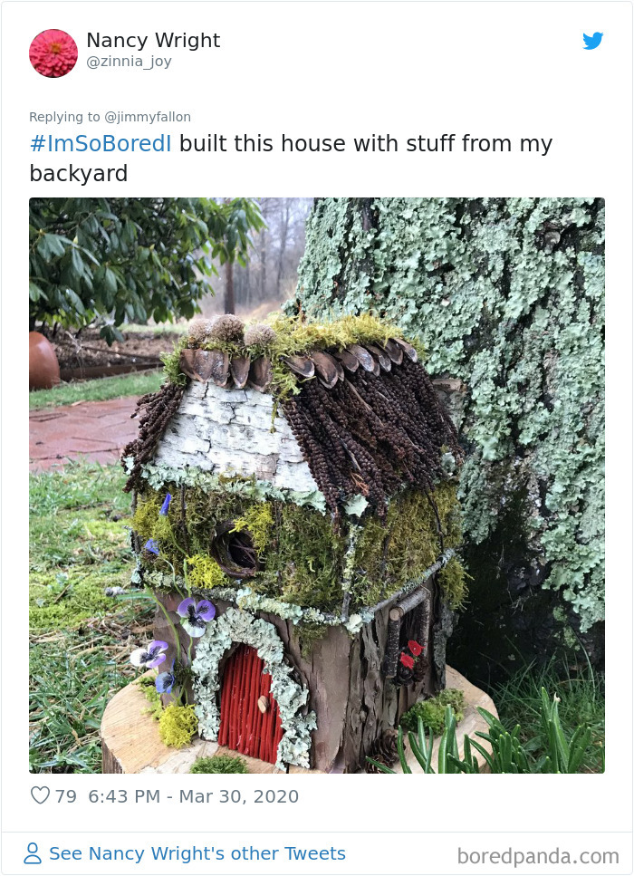 Jimmy Fallon Asked What People Are Doing While Bored In Quarantine And Here Are 30 Of The Funniest Answers Jimmy Fallon Asked What People Are Doing While Bored In Quarantine And Here Are 30 Of The Funniest Answers