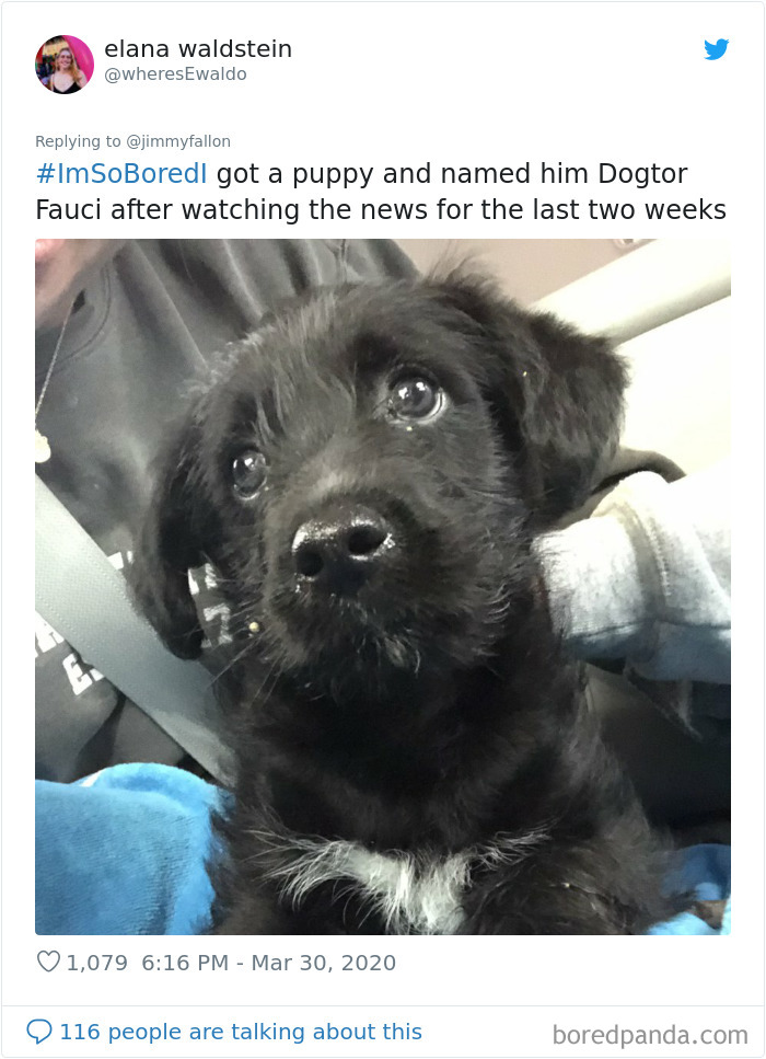 Jimmy Fallon Asked What People Are Doing While Bored In Quarantine And Here Are 30 Of The Funniest Answers Jimmy Fallon Asked What People Are Doing While Bored In Quarantine And Here Are 30 Of The Funniest Answers