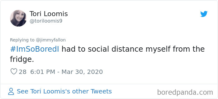 Jimmy Fallon Asked What People Are Doing While Bored In Quarantine And Here Are 30 Of The Funniest Answers Jimmy Fallon Asked What People Are Doing While Bored In Quarantine And Here Are 30 Of The Funniest Answers