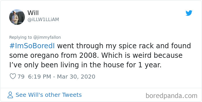 Jimmy Fallon Asked What People Are Doing While Bored In Quarantine And Here Are 30 Of The Funniest Answers Jimmy Fallon Asked What People Are Doing While Bored In Quarantine And Here Are 30 Of The Funniest Answers