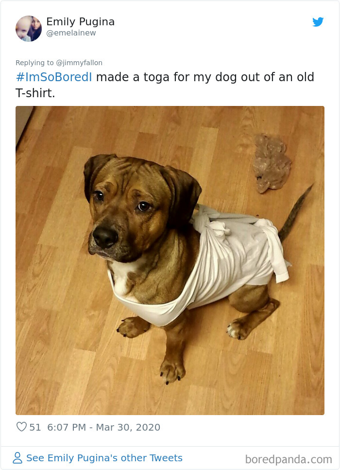 Jimmy Fallon Asked What People Are Doing While Bored In Quarantine And Here Are 30 Of The Funniest Answers Jimmy Fallon Asked What People Are Doing While Bored In Quarantine And Here Are 30 Of The Funniest Answers