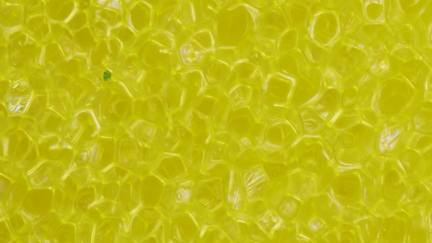 This Macro Lens Photography Project Shows Everyday Objects From A New Perspective This Macro Lens Photography Project Shows Everyday Objects From A New Perspective