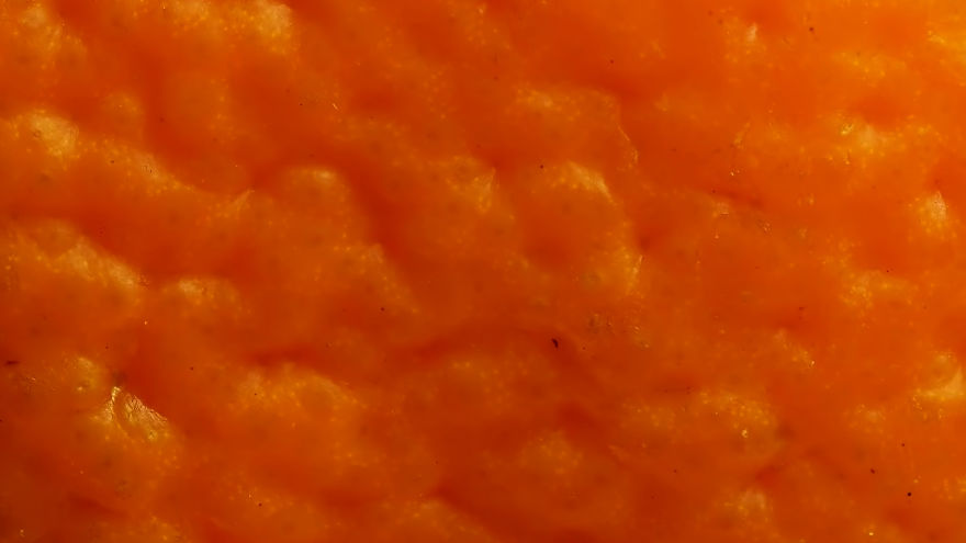 This Macro Lens Photography Project Shows Everyday Objects From A New Perspective This Macro Lens Photography Project Shows Everyday Objects From A New Perspective