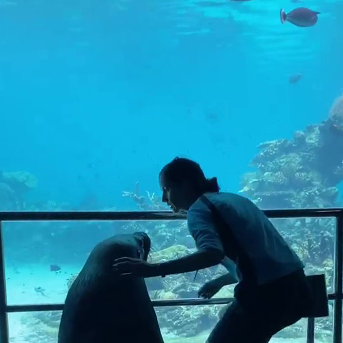 After Closing Down, This Sea World Shares The Adventures Of A Sea Lion Who Gets To Visit Other Animals At The Oceanarium After Closing Down, This Sea World Shares The Adventures Of A Sea Lion Who Gets To Visit Other Animals At The Oceanarium