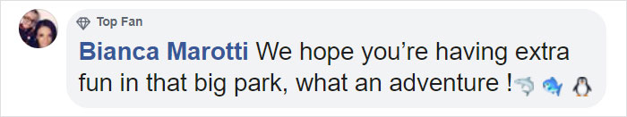 After Closing Down, This Sea World Shares The Adventures Of A Sea Lion Who Gets To Visit Other Animals At The Oceanarium After Closing Down, This Sea World Shares The Adventures Of A Sea Lion Who Gets To Visit Other Animals At The Oceanarium