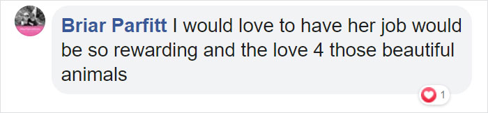 After Closing Down, This Sea World Shares The Adventures Of A Sea Lion Who Gets To Visit Other Animals At The Oceanarium After Closing Down, This Sea World Shares The Adventures Of A Sea Lion Who Gets To Visit Other Animals At The Oceanarium