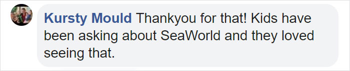 After Closing Down, This Sea World Shares The Adventures Of A Sea Lion Who Gets To Visit Other Animals At The Oceanarium After Closing Down, This Sea World Shares The Adventures Of A Sea Lion Who Gets To Visit Other Animals At The Oceanarium