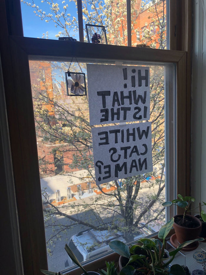 Woman Asks A Neighbor What His Cat’s Name Is Via A Sign On Her Window, Receives An Answer And Cute Pics Woman Asks A Neighbor What His Cat’s Name Is Via A Sign On Her Window, Receives An Answer And Cute Pics