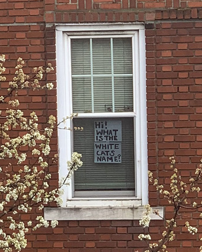 Woman Asks A Neighbor What His Cat’s Name Is Via A Sign On Her Window, Receives An Answer And Cute Pics Woman Asks A Neighbor What His Cat’s Name Is Via A Sign On Her Window, Receives An Answer And Cute Pics