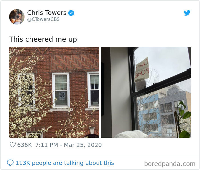 Woman Asks A Neighbor What His Cat’s Name Is Via A Sign On Her Window, Receives An Answer And Cute Pics Woman Asks A Neighbor What His Cat’s Name Is Via A Sign On Her Window, Receives An Answer And Cute Pics