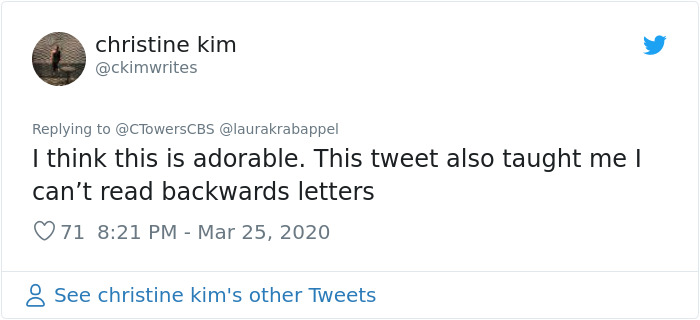 Woman Asks A Neighbor What His Cat’s Name Is Via A Sign On Her Window, Receives An Answer And Cute Pics Woman Asks A Neighbor What His Cat’s Name Is Via A Sign On Her Window, Receives An Answer And Cute Pics