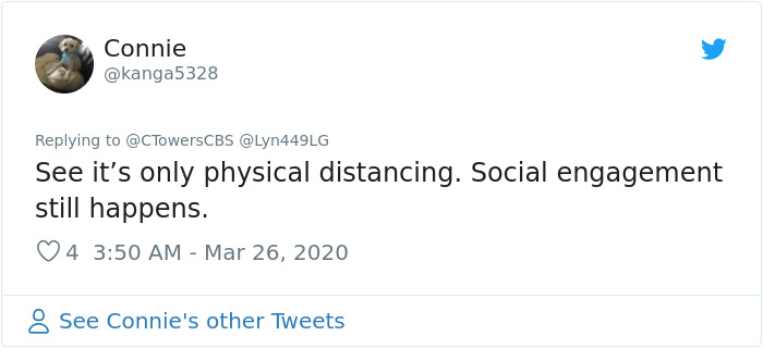 Woman Asks A Neighbor What His Cat’s Name Is Via A Sign On Her Window, Receives An Answer And Cute Pics Woman Asks A Neighbor What His Cat’s Name Is Via A Sign On Her Window, Receives An Answer And Cute Pics