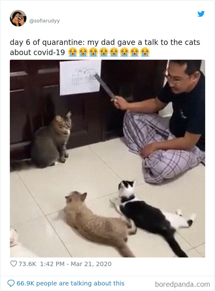 35 People Who Are Beyond Bored While Having To Stay At Home 35 People Who Are Beyond Bored While Having To Stay At Home