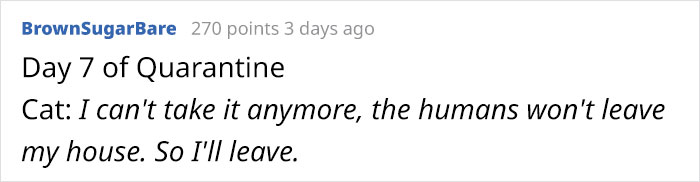 Owners Share Hilarious Pic Of Their “Missing” Cat That They Couldn’t Find Anywhere Owners Share Hilarious Pic Of Their “Missing” Cat That They Couldn’t Find Anywhere