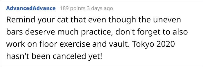 Owners Share Hilarious Pic Of Their “Missing” Cat That They Couldn’t Find Anywhere Owners Share Hilarious Pic Of Their “Missing” Cat That They Couldn’t Find Anywhere