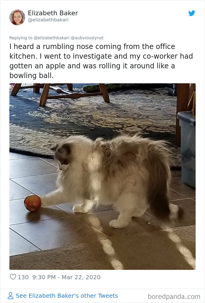 30 Funny “Co-Worker” Updates From People Working From Home 30 Funny “Co-Worker” Updates From People Working From Home