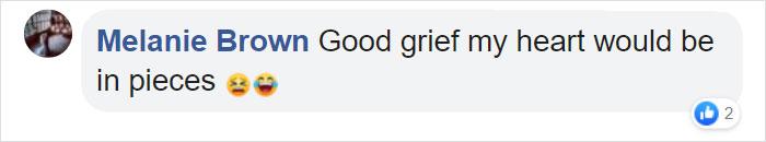 Corgi Gives His Owner And The Entire Internet A Mini Heart Attack After He Eats Some Dragon Fruit And Rests In The Mess Corgi Gives His Owner And The Entire Internet A Mini Heart Attack After He Eats Some Dragon Fruit And Rests In The Mess
