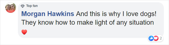 Corgi Gives His Owner And The Entire Internet A Mini Heart Attack After He Eats Some Dragon Fruit And Rests In The Mess Corgi Gives His Owner And The Entire Internet A Mini Heart Attack After He Eats Some Dragon Fruit And Rests In The Mess