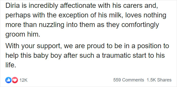 These Conservation Workers Use Special Suits To Take Care Of Baby Zebras These Conservation Workers Use Special Suits To Take Care Of Baby Zebras