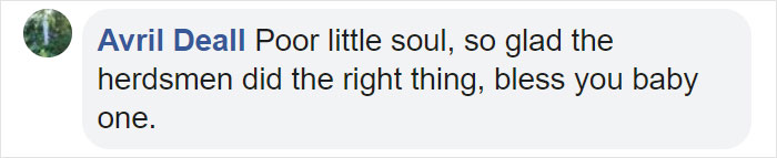 These Conservation Workers Use Special Suits To Take Care Of Baby Zebras These Conservation Workers Use Special Suits To Take Care Of Baby Zebras