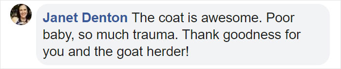 These Conservation Workers Use Special Suits To Take Care Of Baby Zebras These Conservation Workers Use Special Suits To Take Care Of Baby Zebras