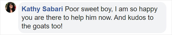 These Conservation Workers Use Special Suits To Take Care Of Baby Zebras These Conservation Workers Use Special Suits To Take Care Of Baby Zebras