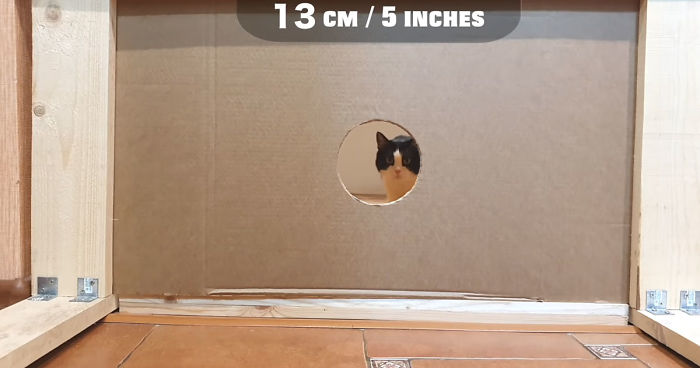 Owners Keep Reducing The Size Of A Hole For Their Cat To See When It Will Finally Stop Him Owners Keep Reducing The Size Of A Hole For Their Cat To See When It Will Finally Stop Him