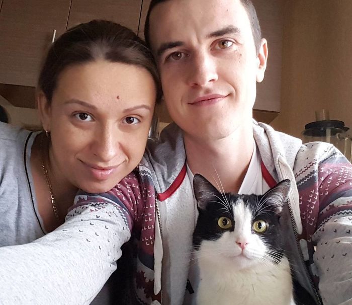 Owners Keep Reducing The Size Of A Hole For Their Cat To See When It Will Finally Stop Him Owners Keep Reducing The Size Of A Hole For Their Cat To See When It Will Finally Stop Him