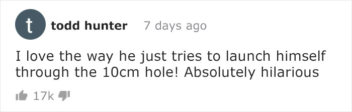 Owners Keep Reducing The Size Of A Hole For Their Cat To See When It Will Finally Stop Him Owners Keep Reducing The Size Of A Hole For Their Cat To See When It Will Finally Stop Him
