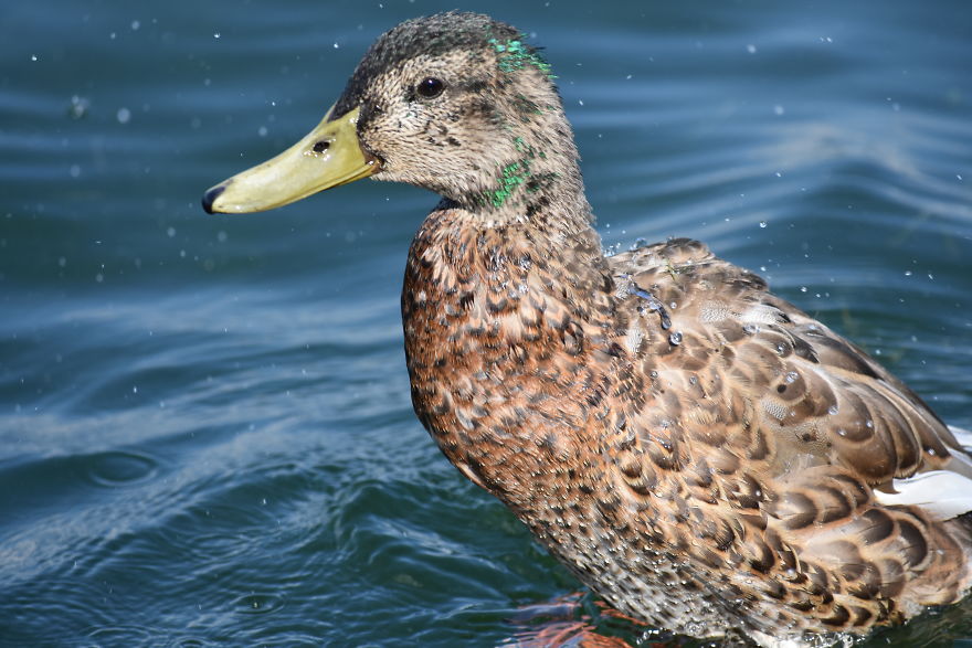 Get Lost In The Little Things I Photograph