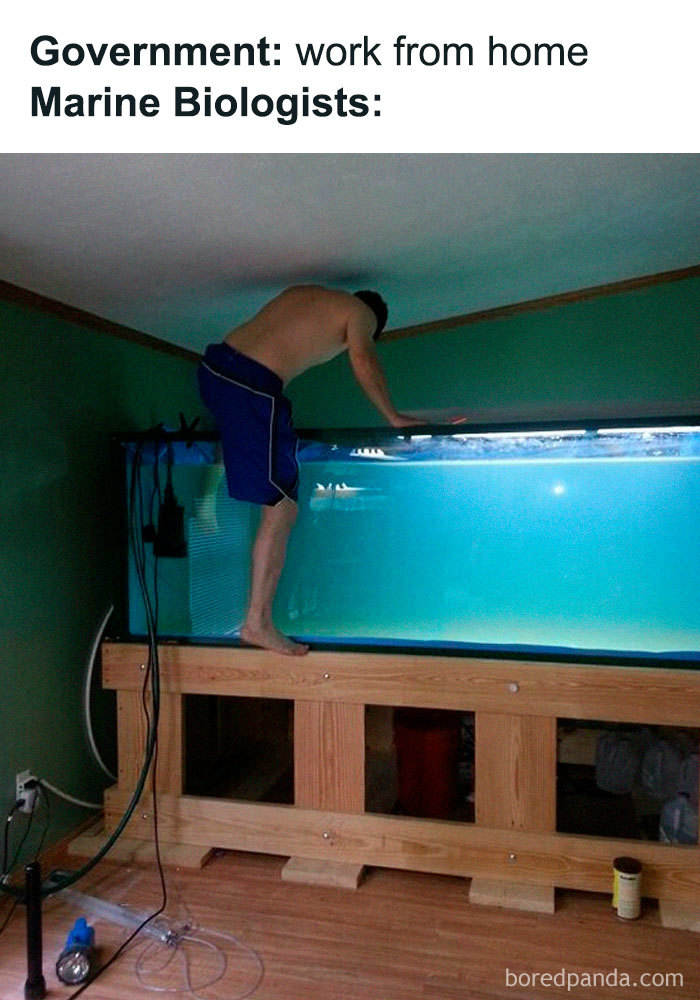 33 Working From Home Jokes That People Who Can’t Work From Home Will Get 33 Working From Home Jokes That People Who Can’t Work From Home Will Get