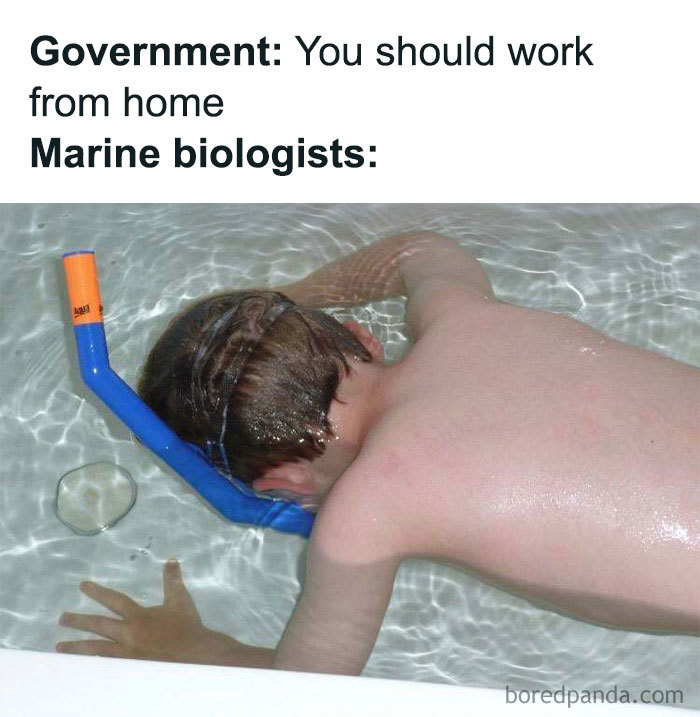 33 Working From Home Jokes That People Who Can’t Work From Home Will Get 33 Working From Home Jokes That People Who Can’t Work From Home Will Get