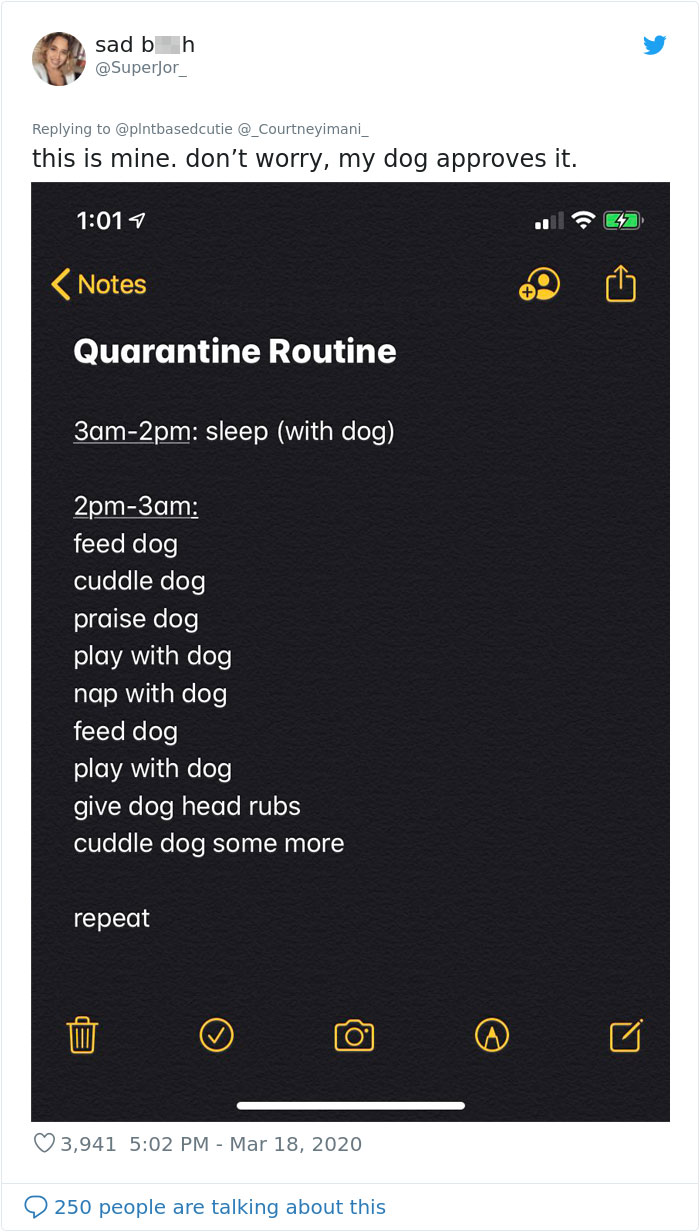 This Woman Tries To Bring Stability Into Her Life By Creating A Quarantine Routine, People Follow Her Example This Woman Tries To Bring Stability Into Her Life By Creating A Quarantine Routine, People Follow Her Example