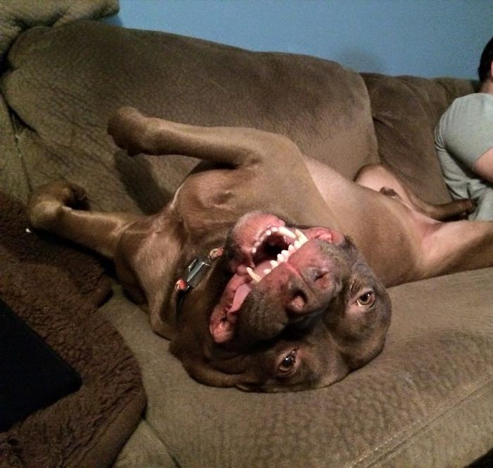 Saying Goodbye To Our Family Member