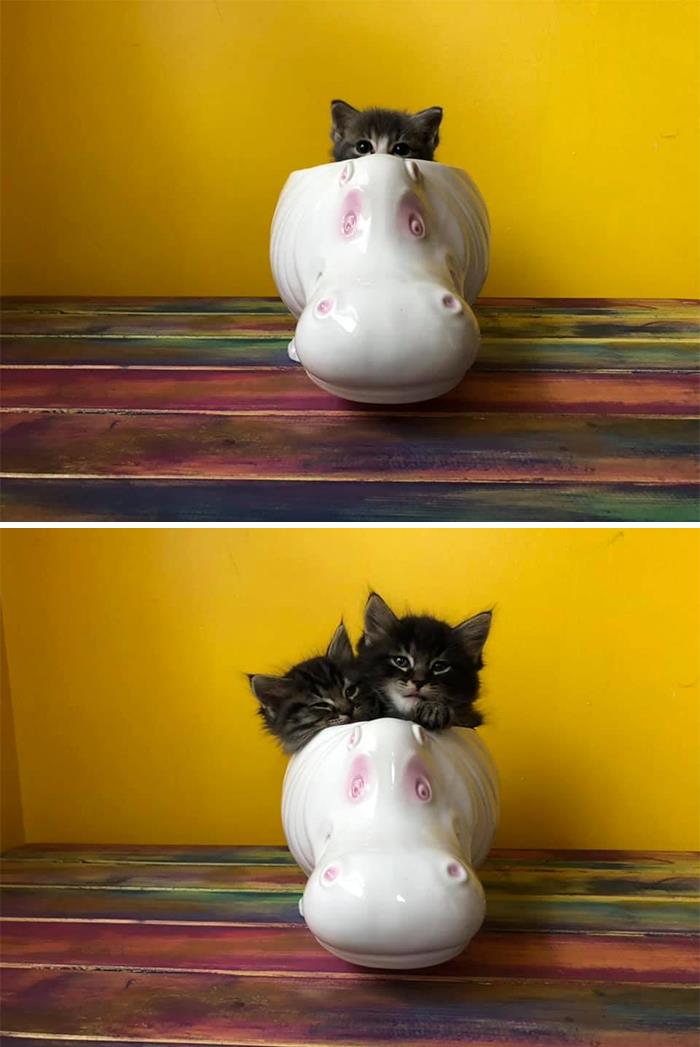 50 Times People Couldn’t Believe Their Luck In Thrift Stores, Flea Markets, And Garage Sales 50 Times People Couldn’t Believe Their Luck In Thrift Stores, Flea Markets, And Garage Sales