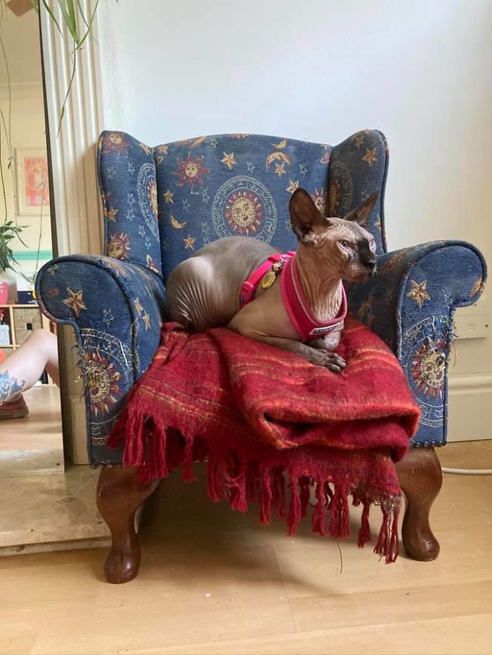 50 Times People Couldn’t Believe Their Luck In Thrift Stores, Flea Markets, And Garage Sales 50 Times People Couldn’t Believe Their Luck In Thrift Stores, Flea Markets, And Garage Sales