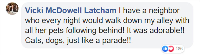 Woman Records This Stranger Leading A Parade Of Dogs, Cats, And Birds Down The Street, And The Scene Looks Magical Woman Records This Stranger Leading A Parade Of Dogs, Cats, And Birds Down The Street, And The Scene Looks Magical