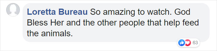 Woman Records This Stranger Leading A Parade Of Dogs, Cats, And Birds Down The Street, And The Scene Looks Magical Woman Records This Stranger Leading A Parade Of Dogs, Cats, And Birds Down The Street, And The Scene Looks Magical