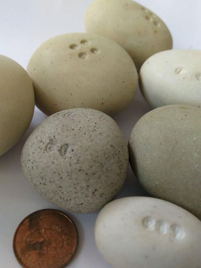 40 Times People Had No Idea What They Were Looking At, But The Internet Knew What It Was Right Away (New Pics) 40 Times People Had No Idea What They Were Looking At, But The Internet Knew What It Was Right Away (New Pics)