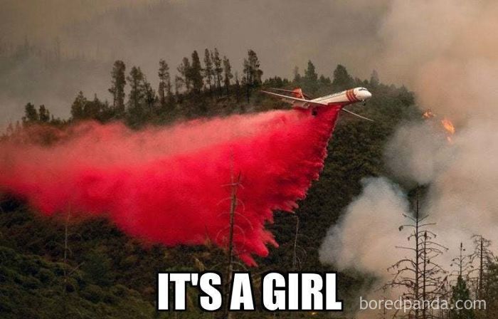 45 Of The Most Savage ‘Gender Reveal Party’ Memes After People Learned It Was The Cause Of An Apocalyptic Wildfire In California 45 Of The Most Savage ‘Gender Reveal Party’ Memes After People Learned It Was The Cause Of An Apocalyptic Wildfire In California
