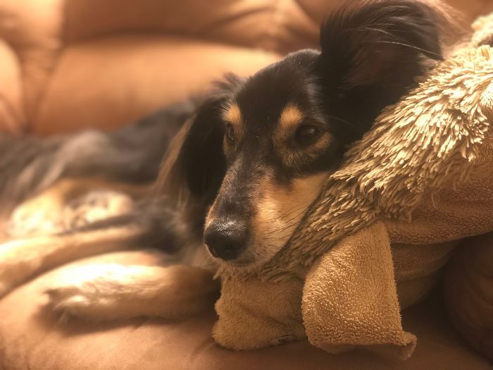 Hey Pandas, What’s Something That Never Fails To Make You Smile? (Ended) Hey Pandas, What’s Something That Never Fails To Make You Smile? (Ended)